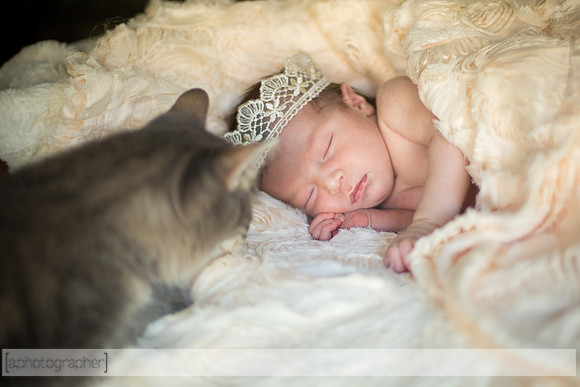 JosephineNielsenNewborn_028