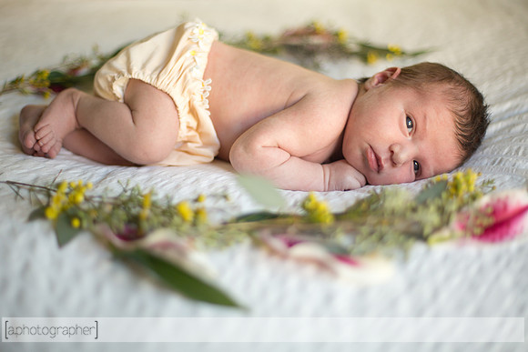JosephineNielsenNewborn_031