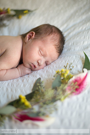 JosephineNielsenNewborn_032