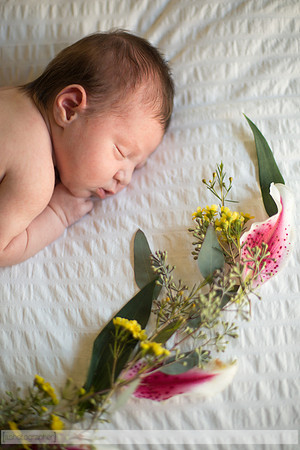 JosephineNielsenNewborn_034