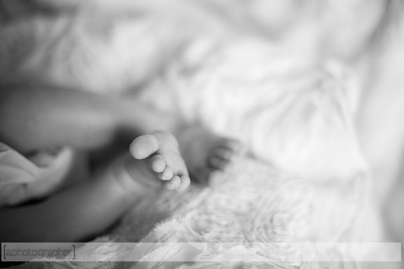 JosephineNielsenNewborn_035-2
