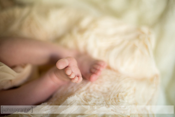 JosephineNielsenNewborn_035