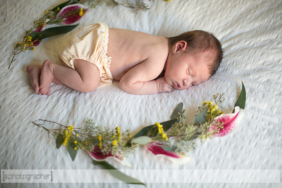 JosephineNielsenNewborn_036
