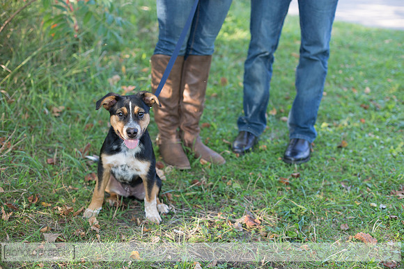LuethEngagement_002