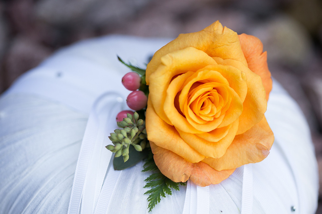 ExcelsiorWeddingPhotographer_5