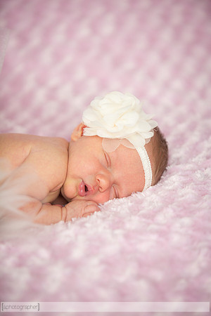 JolieNewborn_006