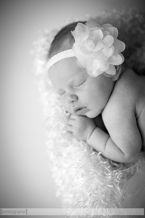 JolieNewborn_010-2
