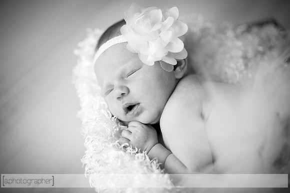 JolieNewborn_015-2