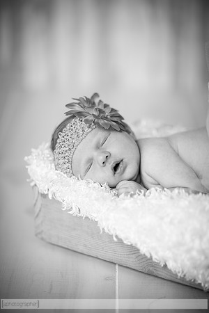 JolieNewborn_016-2