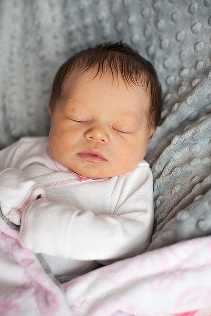 cologne mn newborn portrait photographer