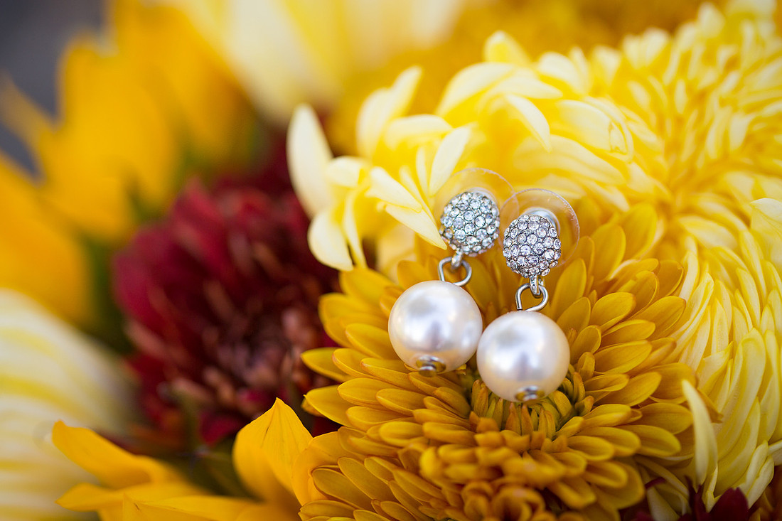 WaconiaWeddingPhotographer_2