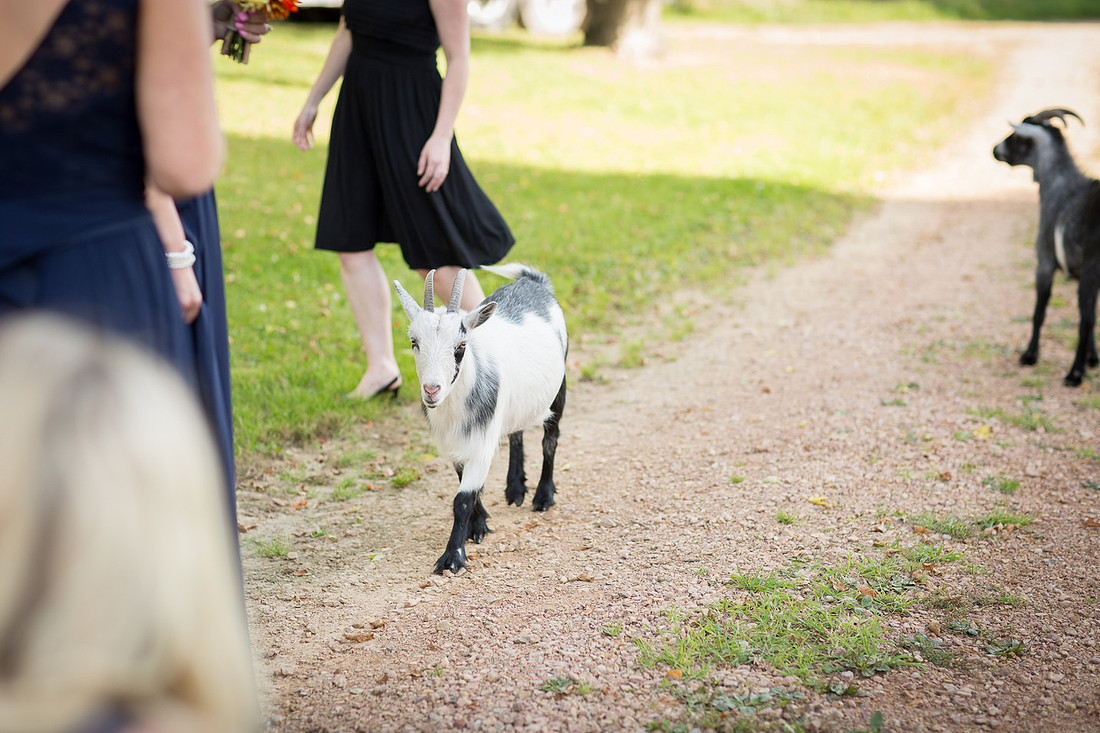 WaconiaWeddingPhotographer_60