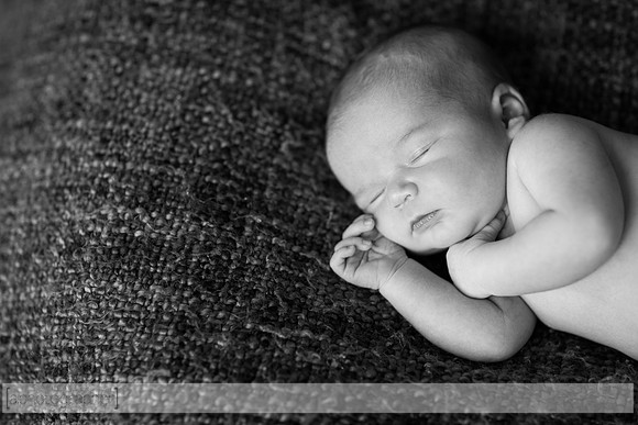 LewisNewborn_014-2