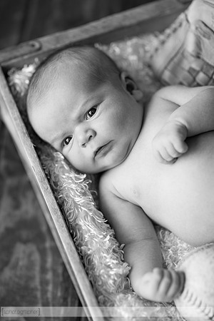 LewisNewborn_027-2