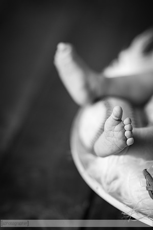 LewisNewborn_035-2