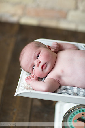 LewisNewborn_039