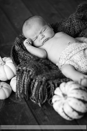 LewisNewborn_043-2
