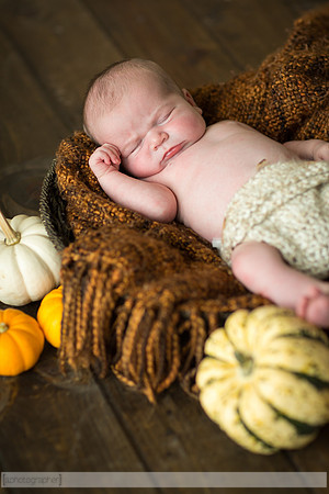LewisNewborn_043
