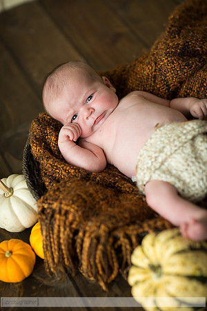LewisNewborn_045
