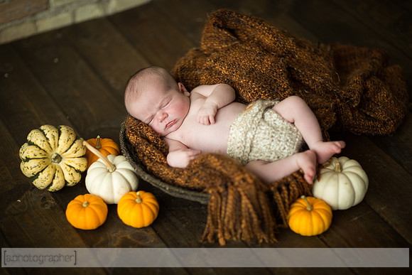 LewisNewborn_051