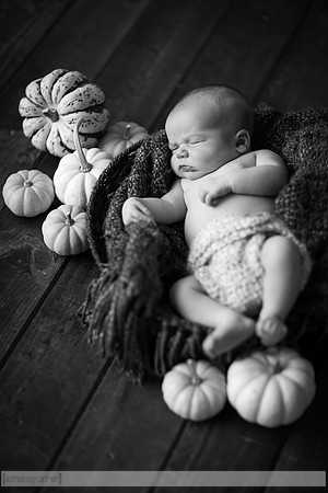 LewisNewborn_053-2