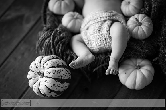 LewisNewborn_056-3