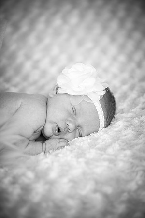 ShakopeeNewbornPhotographer_3
