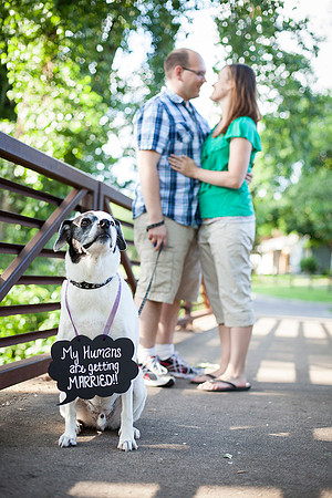 Larson_Engagement_272