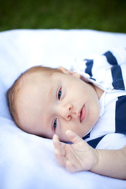 chanhassen newborn photographer