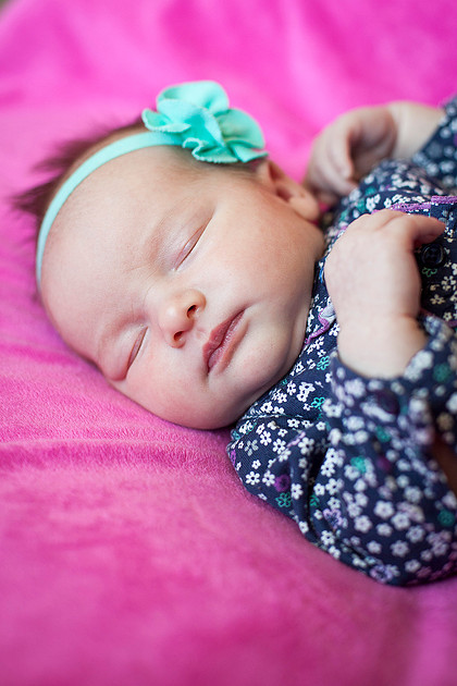 mn newborn photographer