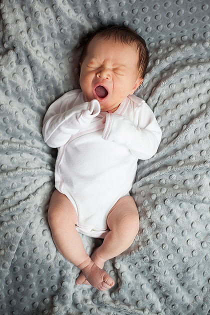 cologne mn newborn portrait photographer