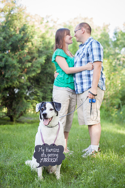 Their dog Bowie joined them for a few engagement photos. Dog-friendly photographer.