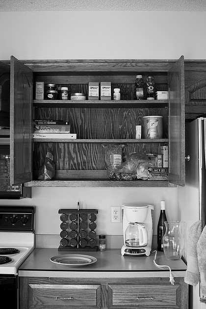 twin cities lifestyle photographer