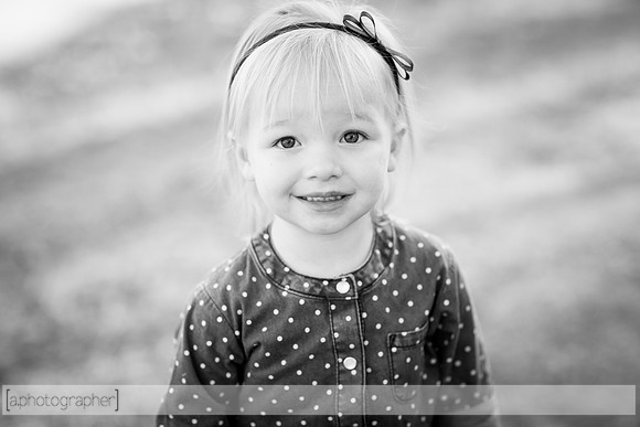 Odegard_2015_032-2