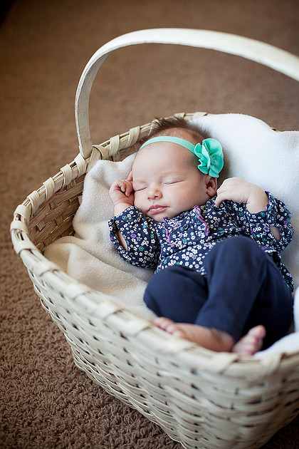 mn newborn photographer