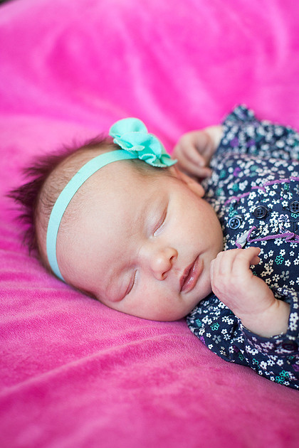 mn newborn photographer
