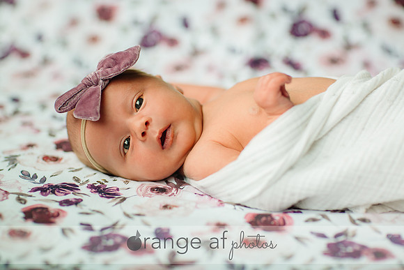 BuffaloMNNewbornPhotographer-5