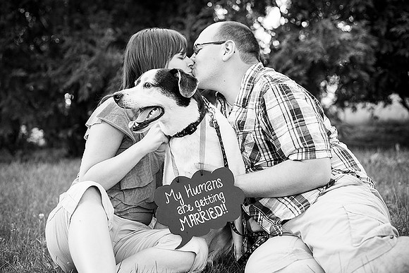 Larson_Engagement_274