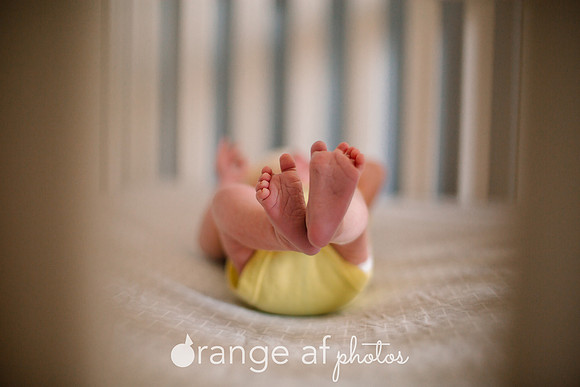 GlencoeMNNewbornPhotographer-14