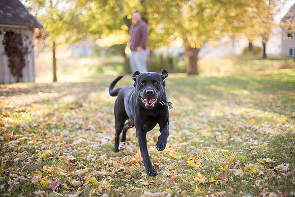 MinneapolisMNEngagementPhotographer_29
