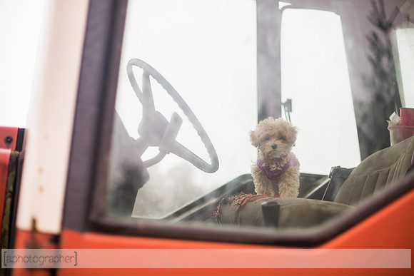 Brok&Kelley_010
