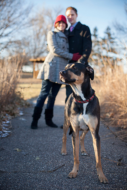bloomington family photographer