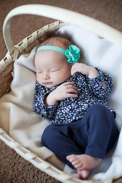 mn newborn photographer