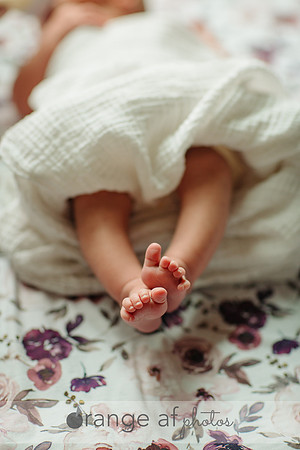BuffaloMNNewbornPhotographer-6