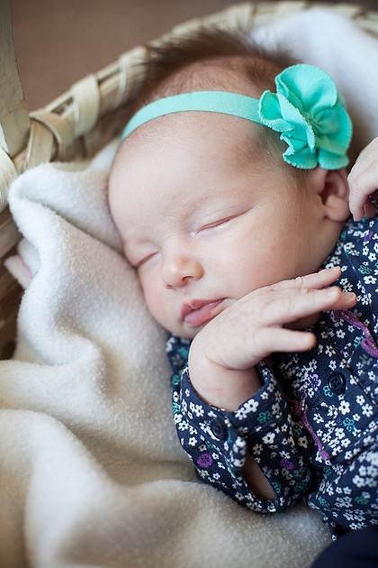 mn newborn photographer