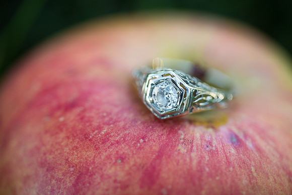 BuffaloMNEngagementPhotographer_8