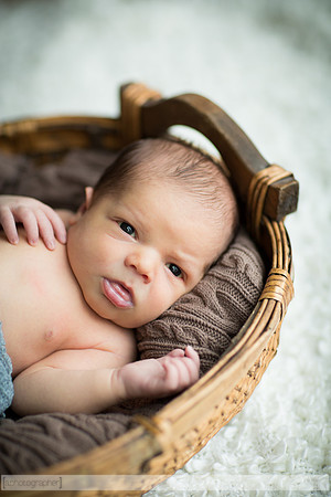 JamesonNewborn_006