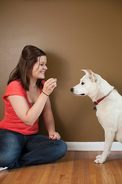 puppy cake smash photo shoot
