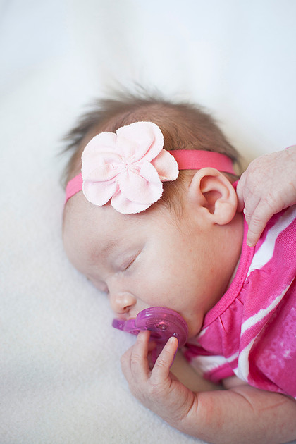 mn family photographer