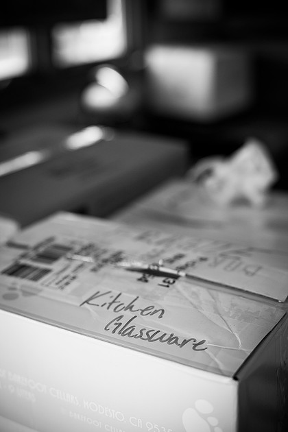 twin cities lifestyle photographer